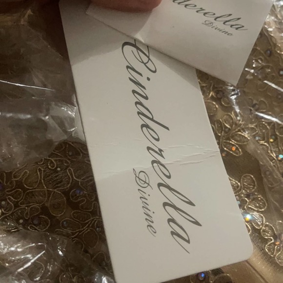 Cinderella Divine - KV1034 Beaded Lace Sweetheart Ballgown NWT size 4 Gold/Gold - Picture 8 of 15